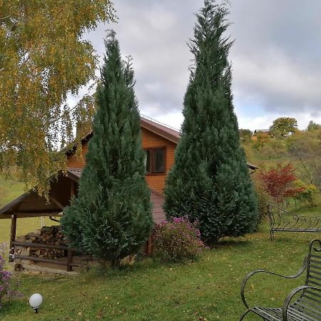 Casa Zara Villa Bran  Buitenkant foto