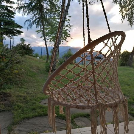 Casa Zara Villa Bran  Buitenkant foto