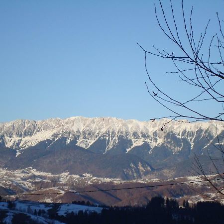 Casa Zara Villa Bran  Buitenkant foto