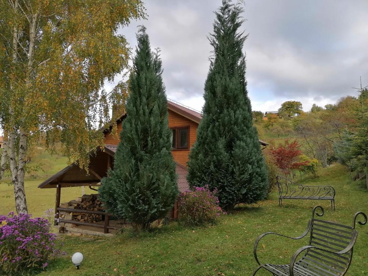 Casa Zara Villa Bran  Buitenkant foto