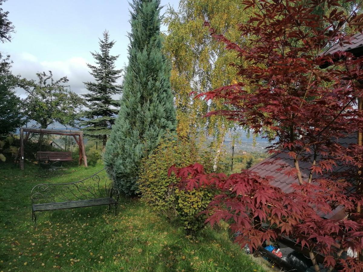 Casa Zara Villa Bran  Buitenkant foto