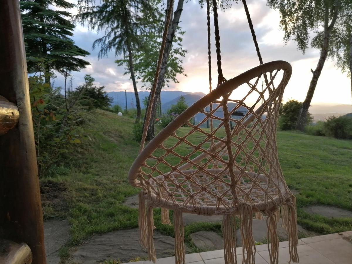 Casa Zara Villa Bran  Buitenkant foto