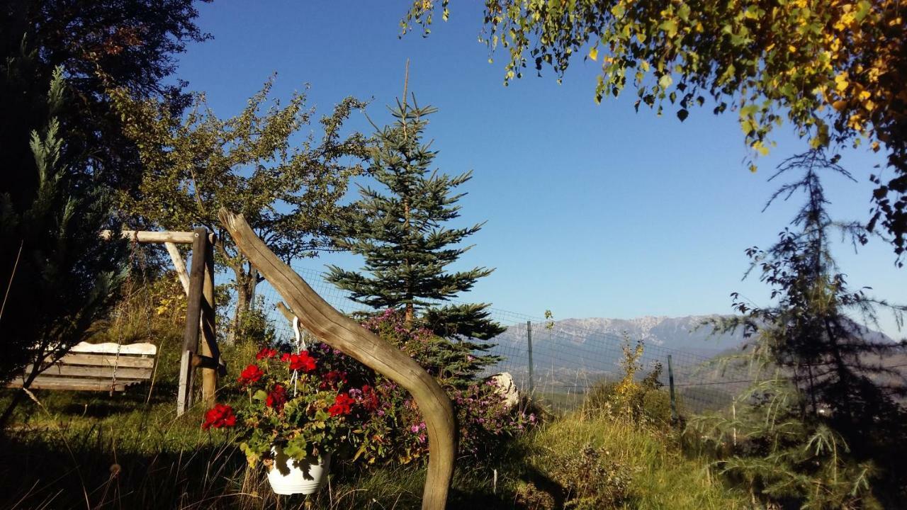 Casa Zara Villa Bran  Buitenkant foto