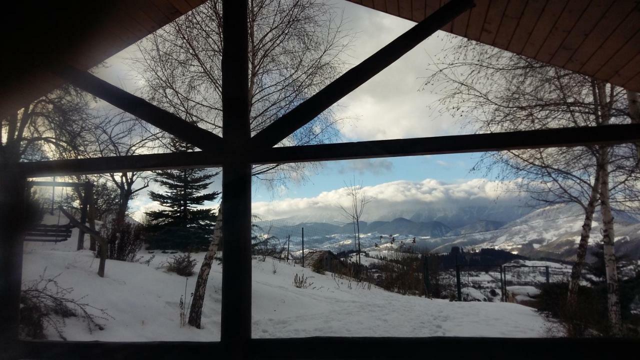 Casa Zara Villa Bran  Buitenkant foto