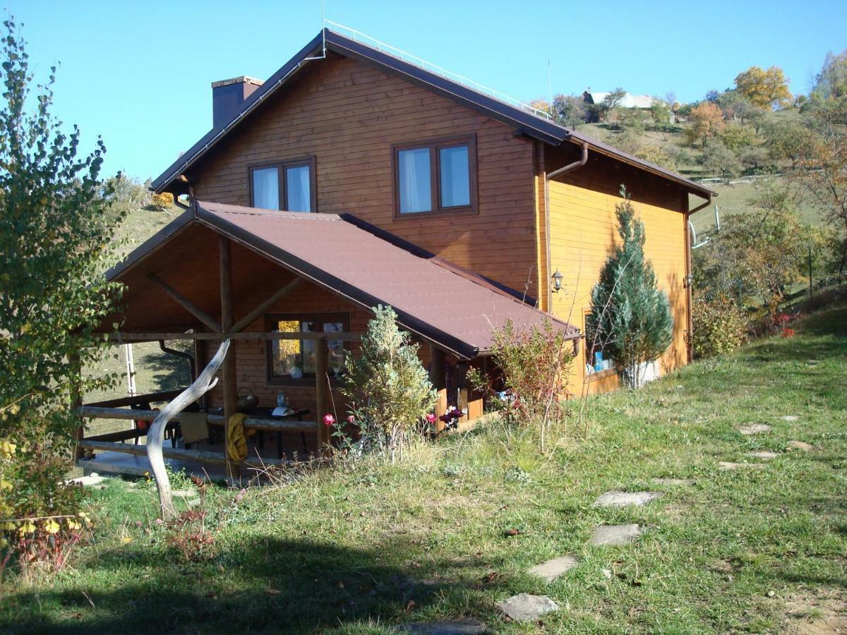 Casa Zara Villa Bran  Buitenkant foto