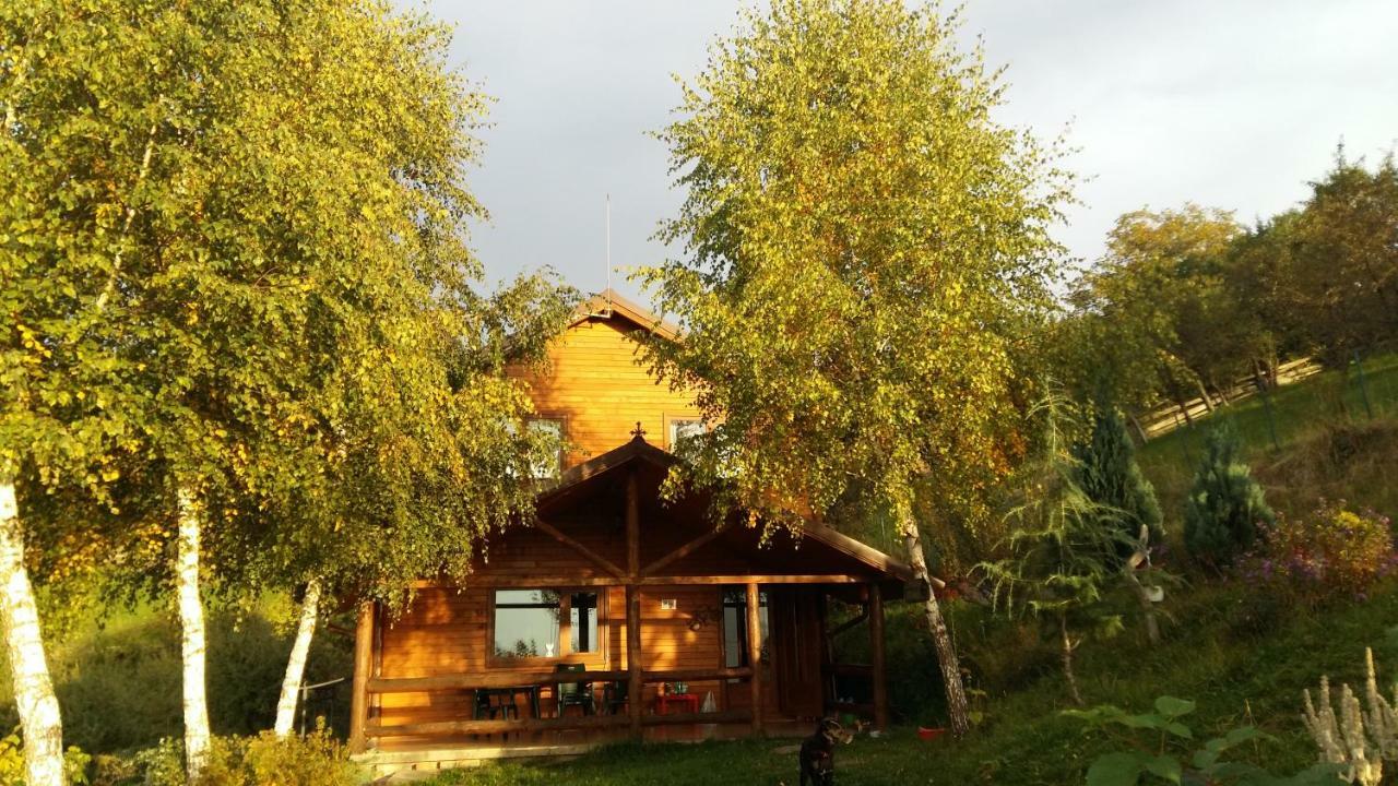 Casa Zara Villa Bran  Buitenkant foto