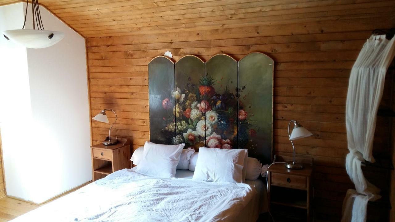 Casa Zara Villa Bran  Buitenkant foto