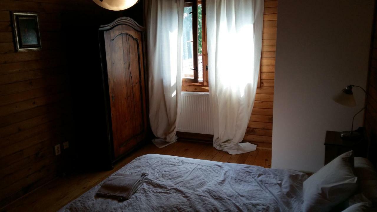 Casa Zara Villa Bran  Buitenkant foto