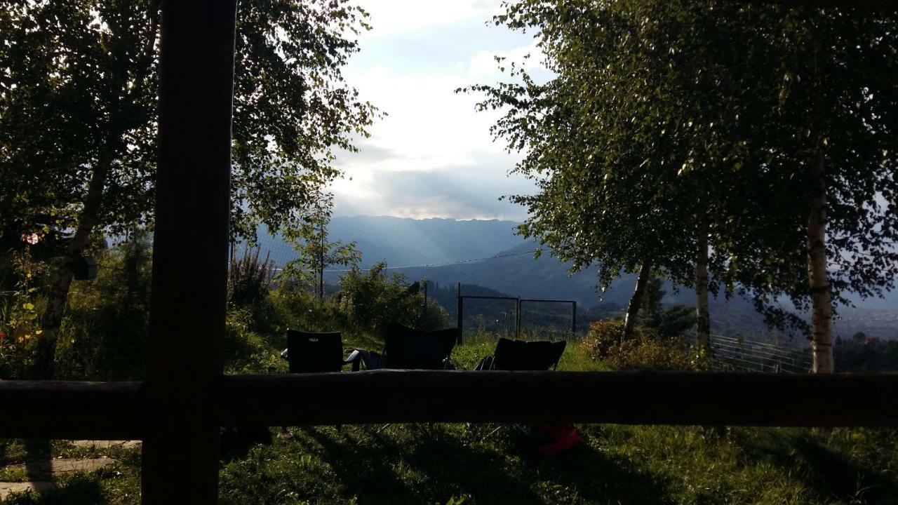 Casa Zara Villa Bran  Buitenkant foto