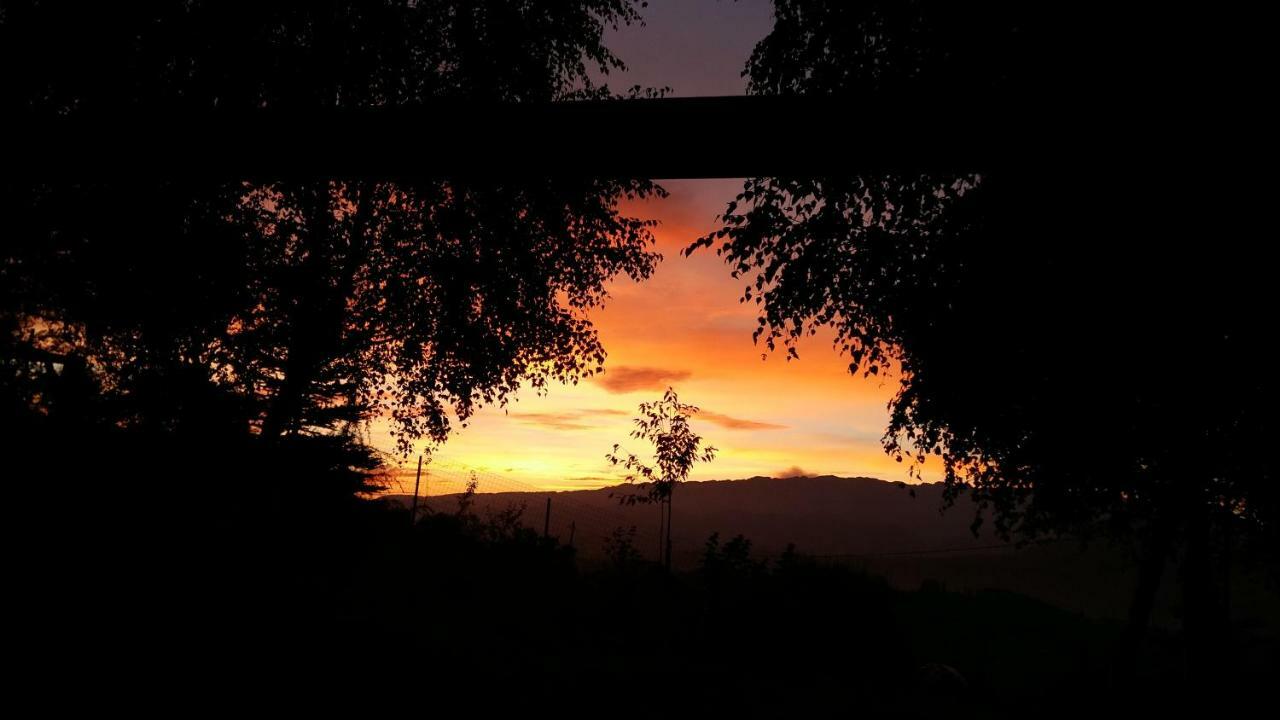 Casa Zara Villa Bran  Buitenkant foto