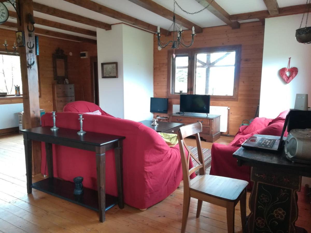 Casa Zara Villa Bran  Buitenkant foto