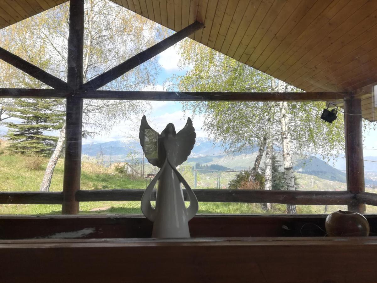 Casa Zara Villa Bran  Buitenkant foto